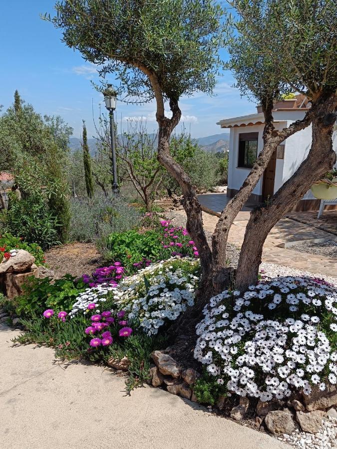 Апартаменти Casa Oasis Алора Екстер'єр фото